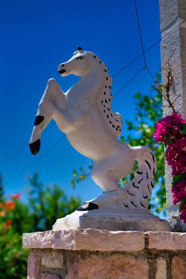 Villa Roel Sarandë 외부 사진