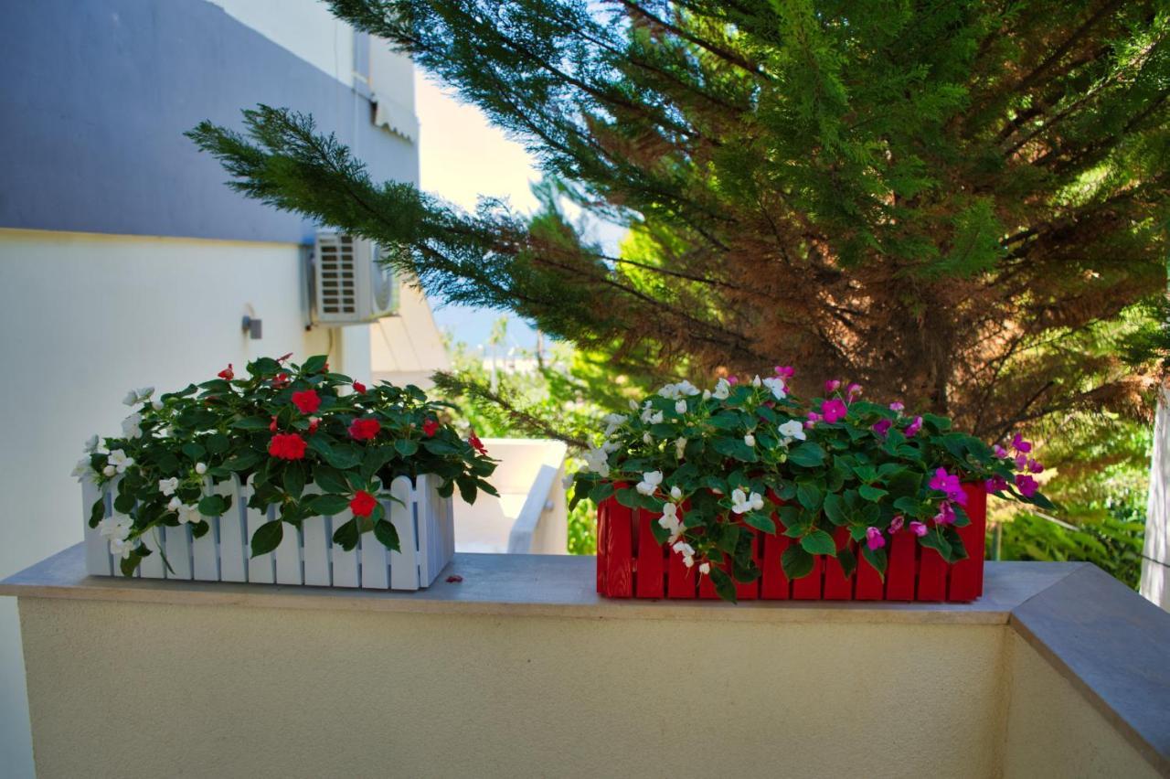 Villa Roel Sarandë 외부 사진